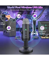 ZealSound Wireless Microphone K66DG-us and D65P Microphone Furry Windscreen
