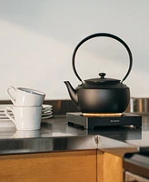 Balmuda MoonKettle