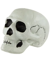 Northlight Bag of Skulls Halloween Decorations, Set of 3