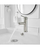 Single Hole Single-Handle Bathroom Faucet With Pop Up Drain Brushed Nickel