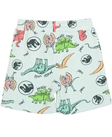 Jurassic Park Toddler Boys 2-Piece Crewneck T-Shirt and Shorts Set