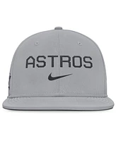 Nike Men's Gray Houston Astros True Performance Fitted Hat