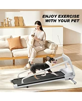 Smart Pet Treadmill, Adjustable Speed