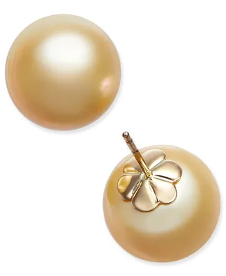 Cultured Golden South Sea Pearl (13mm) Stud Earrings in 14k Gold