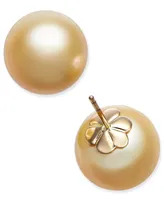 Cultured Golden South Sea Pearl (13mm) Stud Earrings in 14k Gold