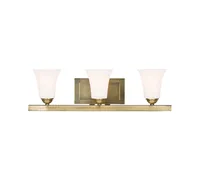 Livex Ridgedale Metal -Light Vanity