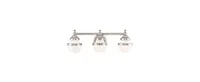 Livex Oldwick Vanity Light