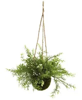 Nearly Natural 3-Pc. Mini Ruscus Sedum & Sperengeri Hanging Basket Set