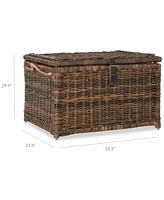 Jonathan Y Happimess Caden 30'' Wicker Storage Trunk