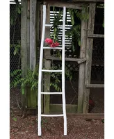 Decorative Painted Wood Ladder