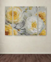 Lisa Audit 'Sunshine' Multi Panel Art Set Large