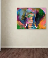 Richard Wallich 'Elephant 2' Canvas Art