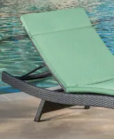 Hawkins Outdoor Chaise Lounge