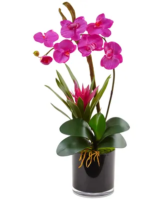 Nearly Natural Pink Orchid & Bromeliad Artificial Arrangement in Glossy Black Cylinder Vase