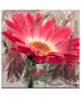 Ready2HangArt 'Painted Petals Xliii' Canvas Wall Decor