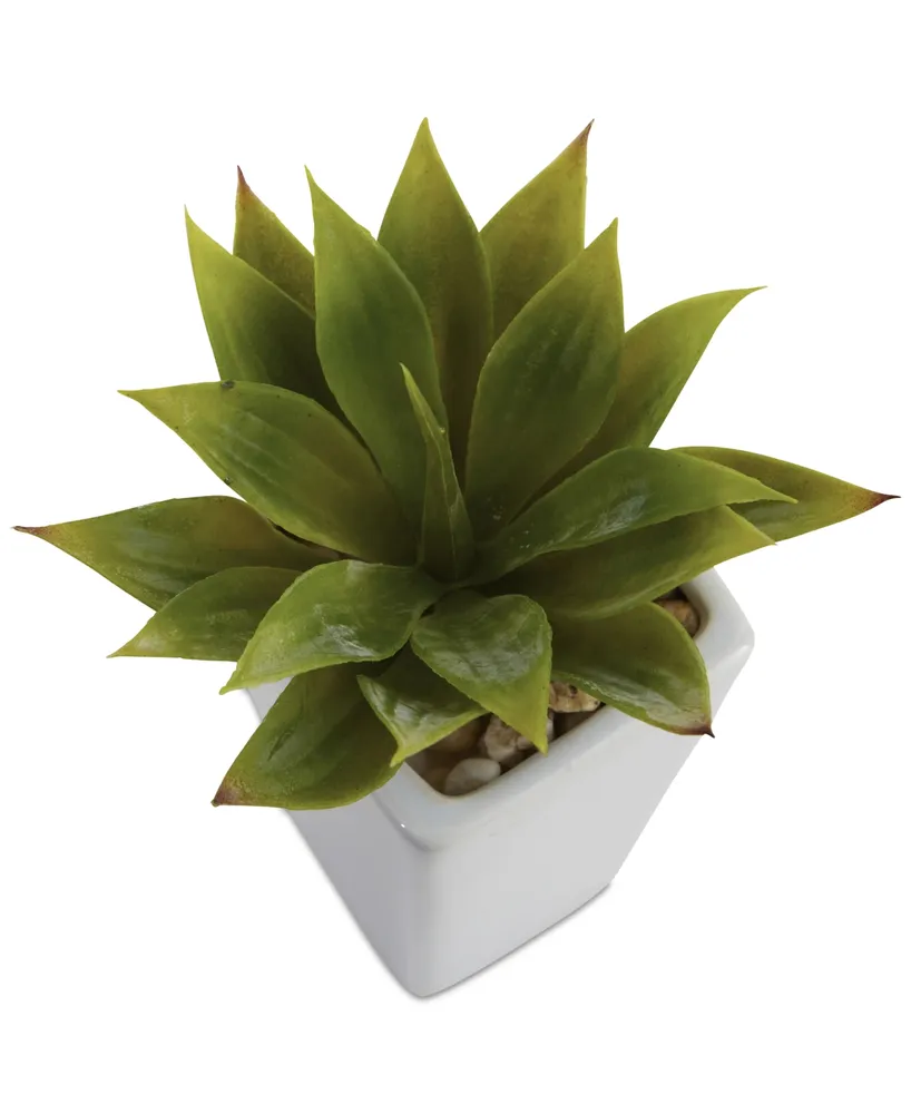 Nearly Natural 3-Pc. Mini Agave Artificial Plant Set in White Planters