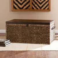 Water Hyacinth Storage Trunk