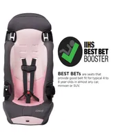 Cosco Finale Dx 2-in-1 Booster Car Seat, Sweetberry
