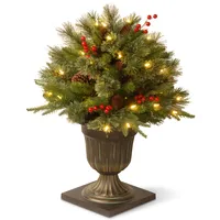 National Tree 24" "Feel Real" Colonial Porch Bush with Cones, Red Berries, and 50 Clear Lights