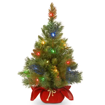 National Tree Company 24" Majestic Spruce Tree in Burgundy Cloth Bag with 35 Multi Battery Operated Led Lights