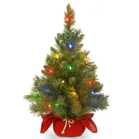 National Tree Company 24" Majestic Spruce Tree in Burgundy Cloth Bag with 35 Multi Battery Operated Led Lights