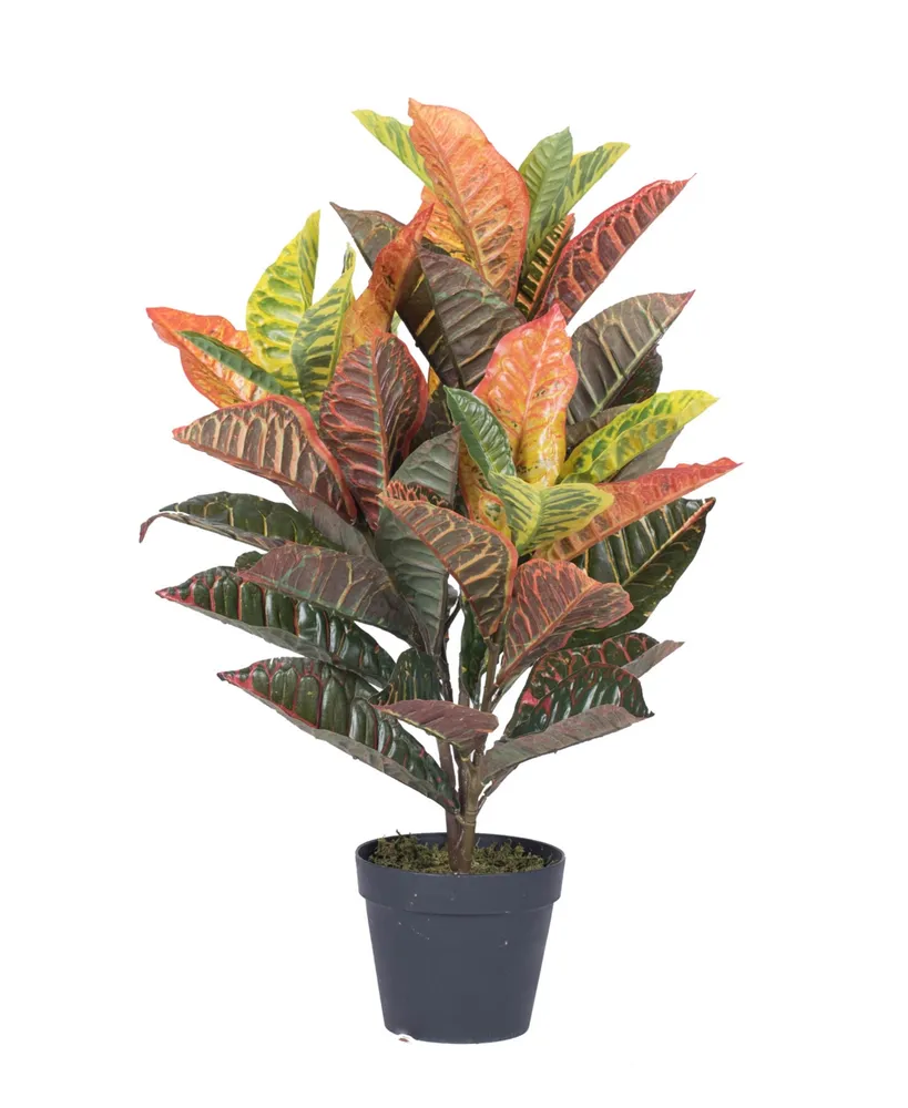 Vickerman 30" Artificial Croton Real Touch Potted Plant