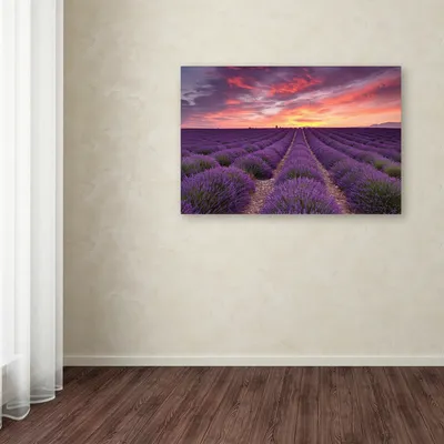Michael Blanchette Photography 'Lavender Sunrise' Canvas Art, 12" x 19"