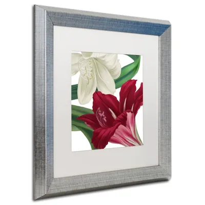 Color Bakery 'Christmas Amaryllis Ii' Matted Framed Art, 16" x 16"