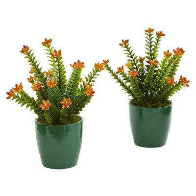 Nearly Natural Sedum Succulent Artificial Plant in Green Planter, Set of 2