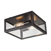 Parameters 2-Light Flush Mount in Oiled Bronze