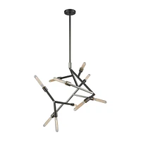 Freeform 10 Light Chandelier in Aged Black Nickel