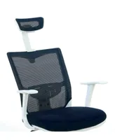 Ari Contemporary Mesh Office Chair