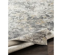 Livabliss Aisha Ais-2303 Charcoal 9'3" x 12'3" Area Rug