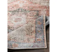 Livabliss Amelie Aml-2309 Rose Machine-Washable 2' x 3' Area Rug