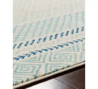 Surya Harput Hap-1098 Aqua 5'3" x 7'3" Area Rug