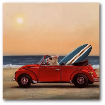 Courtside Market Beach Bound Gallery-Wrapped Canvas Wall Art - 16" x 16"