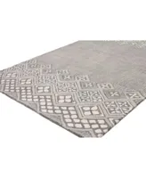 Bb Rugs Nico Nic 150 Gray Area Rug