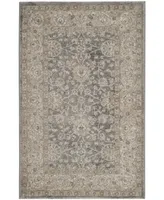 Safavieh Sofia SOF330 Light Gray and Beige 3' x 5' Area Rug