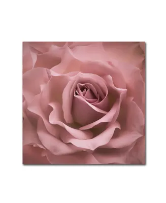 Cora Niele 'Misty Rose Pink Rose' Canvas Art