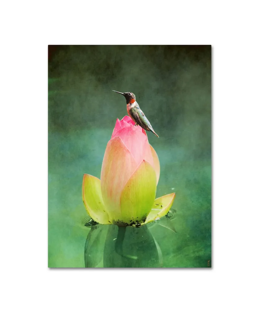 Jai Johnson 'Hummingbird And The Lotus Flower' Canvas Art - 32" x 24" x 2"