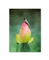 Jai Johnson 'Hummingbird And The Lotus Flower' Canvas Art - 32" x 24" x 2"