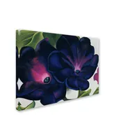 Georgia O'Keefe 'Black and Purple Petunias' Canvas Art - 19" x 14" x 2"