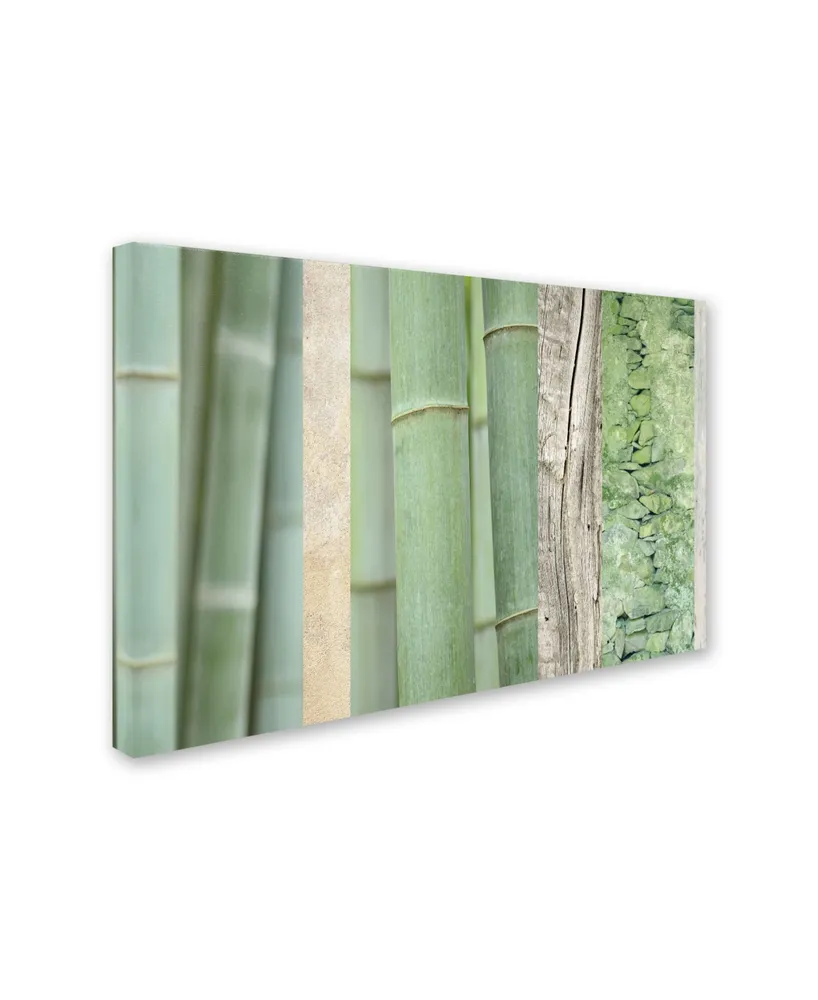 Cora Niele 'Green Bamboo Collage' Canvas Art - 19" x 12" x 2"