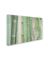 Cora Niele 'Green Bamboo Collage' Canvas Art - 19" x 12" x 2"