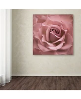 Cora Niele 'Misty Rose Pink Rose' Canvas Art - 24" x 24" x 2"