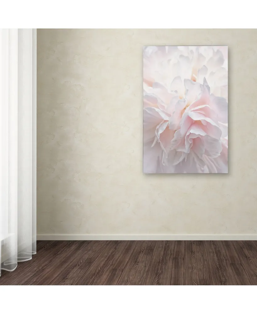 Cora Niele 'Pink Peony Petals Iv' Canvas Art - 19" x 12" x 2"