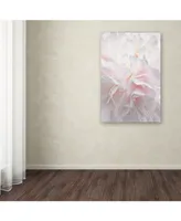 Cora Niele 'Pink Peony Petals Iv' Canvas Art - 19" x 12" x 2"