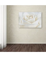 Cora Niele 'Pure White Rose' Canvas Art - 47" x 30" x 2"