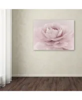 Cora Niele 'Stylisch Rose Pink' Canvas Art