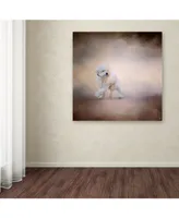 Jai Johnson 'Bichon On The Go' Canvas Art - 18" x 18" x 2"